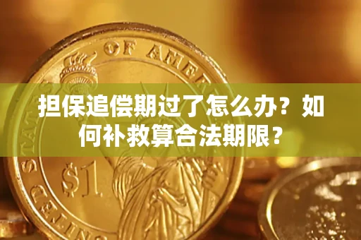 济南担保追偿期过了怎么办？如何补救算合法期限？