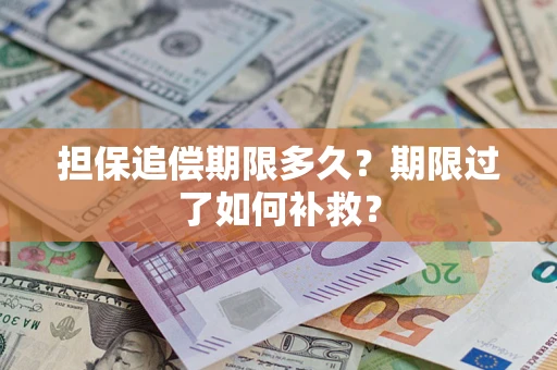 济南担保追偿期限多久？期限过了如何补救？